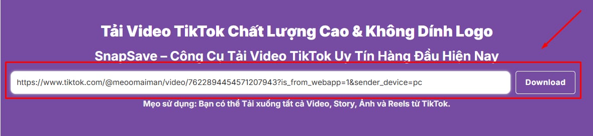 paste and download tiktok video
