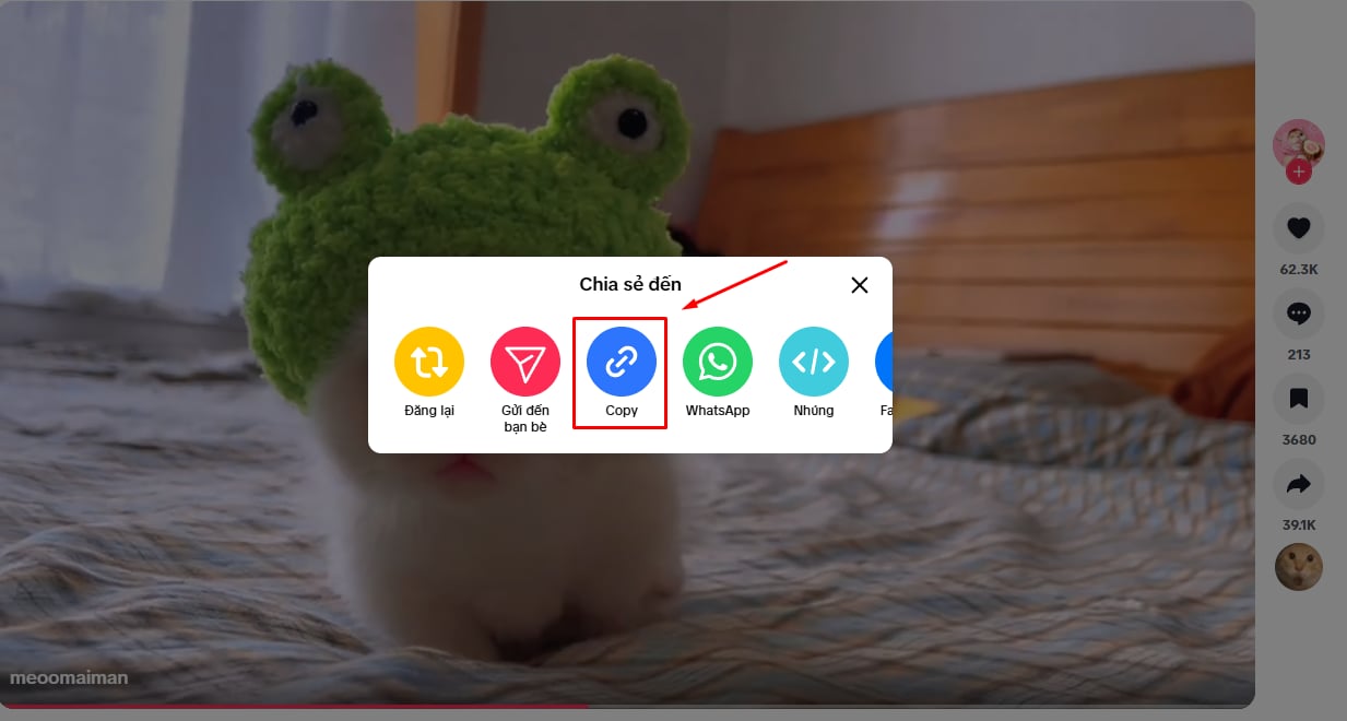 copy tiktok link